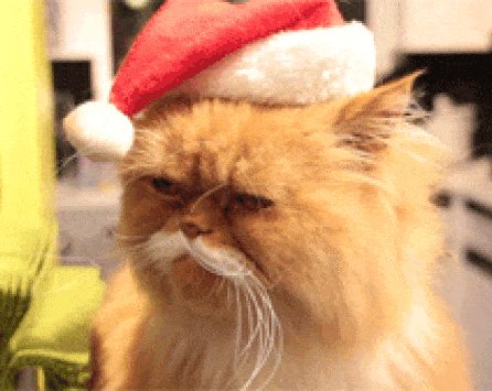 Почему пришло время перестать врать ребёнку про Деда Мороза