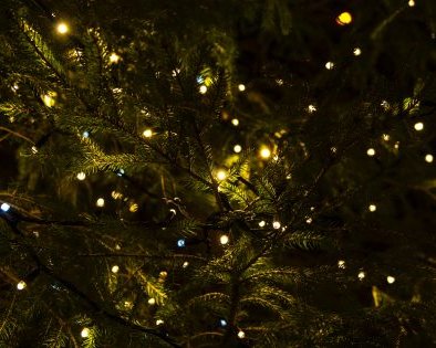 6 рождественских традиций, которые пришли к нам из язычества