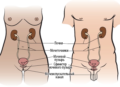 Легко ли найти медсестру в наше время