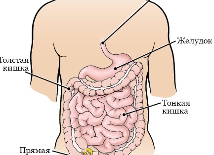Как быть, еслиу вас полный рот имплантатов и коронок, а нужно делать МРТ и КТ
