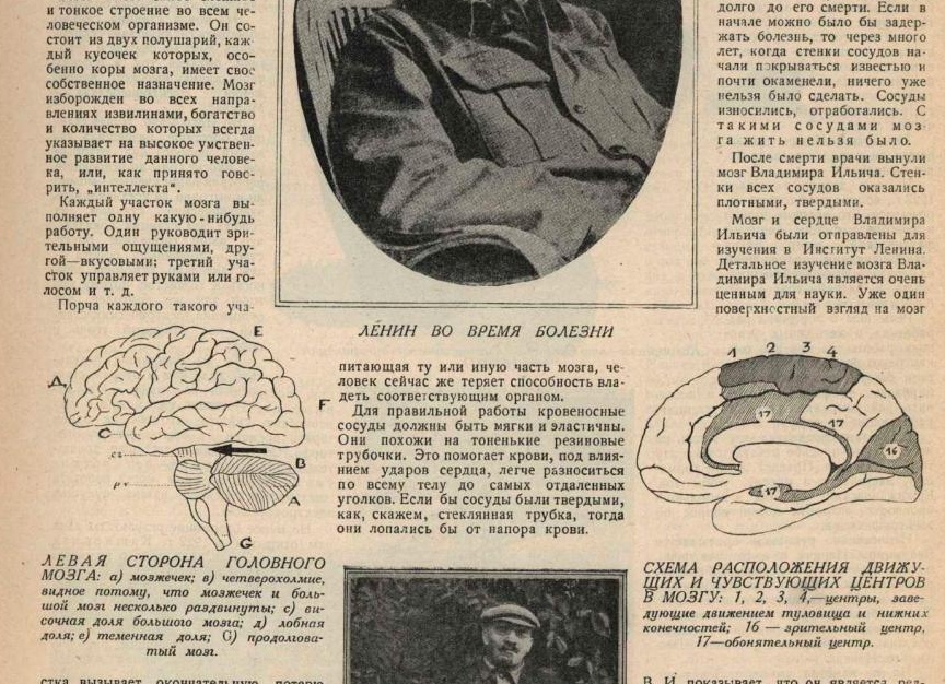 Что это за люди такие — анестезиологи