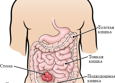 Как реагирует тело на праздничные уловки продавцов