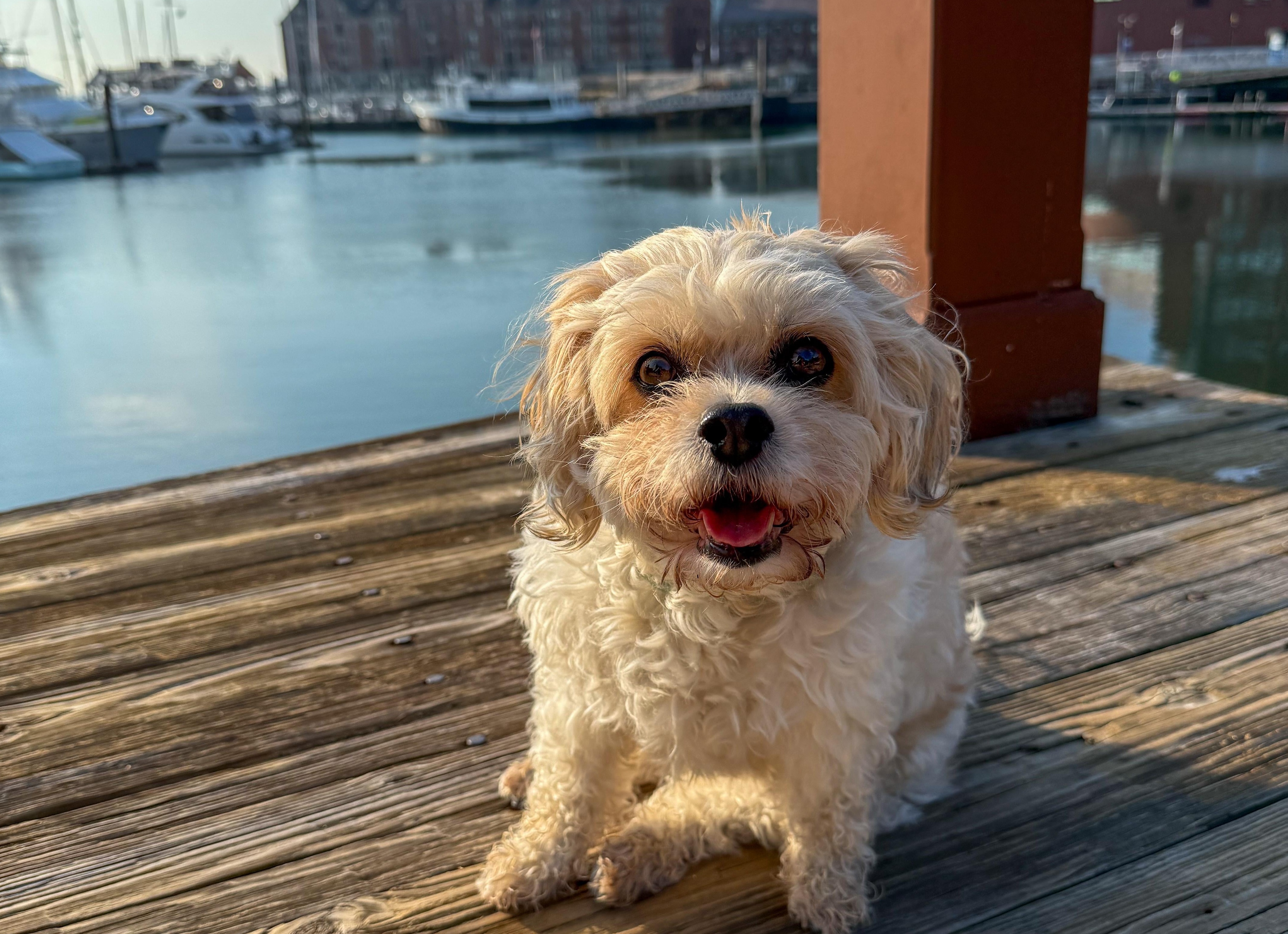 Слышали когда-нибудь про физиотерапию для зубов? А она есть