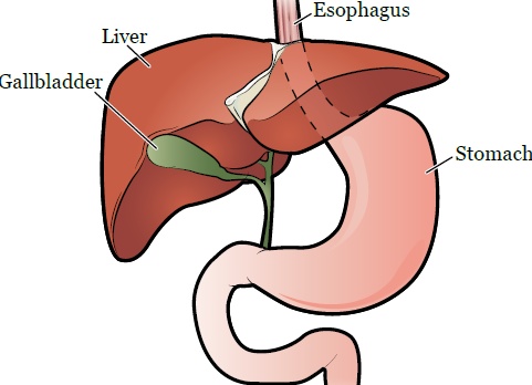 Вы еще не делали огненный массаж своей самой сокровенной зоны, тогда мы идем к вам