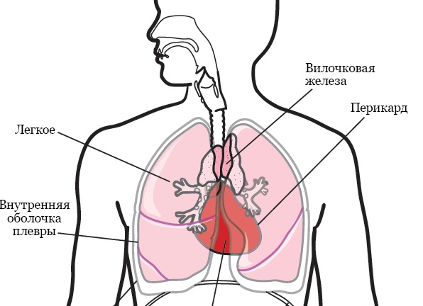 4 вредные новогодние установки, о которых пора забыть